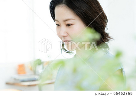 パソコンに向かってテレワークをするミドル女性 66462369