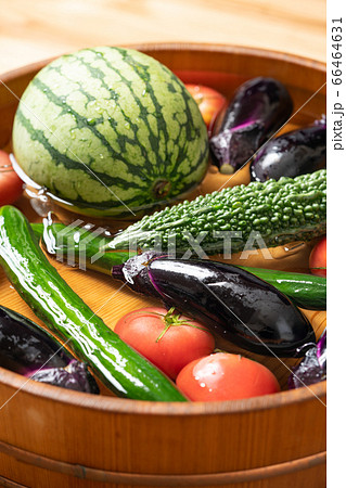 桶で夏野菜を冷やす 桶で夏野菜を冷やす 66464631