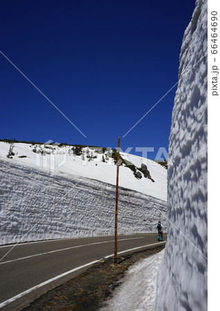 春の八幡平雪の回廊 66464690