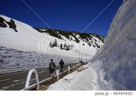 春の八幡平雪の回廊 春の八幡平雪の回廊 66464692