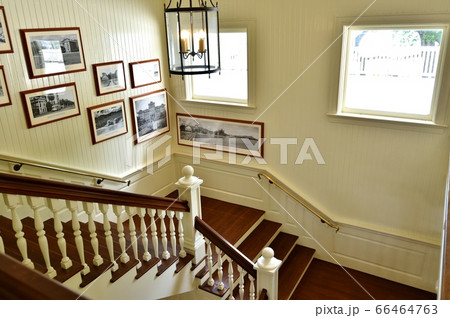 ハワイの休日 66464763