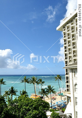 ハワイの休日 66464768