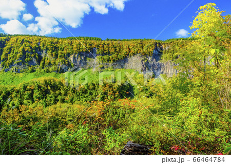 黄葉と石落とし 66464784