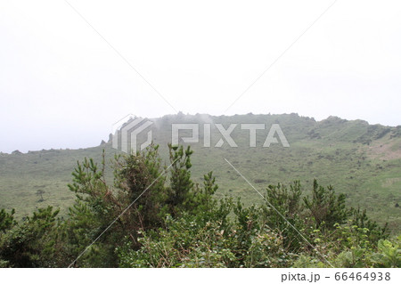 韓国済州島 66464938
