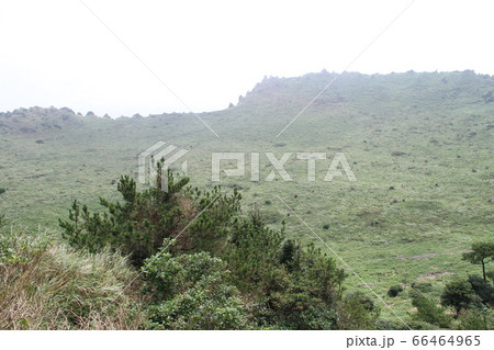 韓国済州島 韓国済州島 66464965