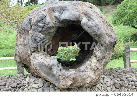 韓国済州島 韓国済州島 66465014