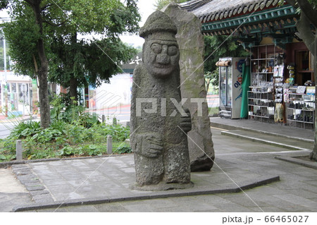 韓国済州島 韓国済州島 66465027