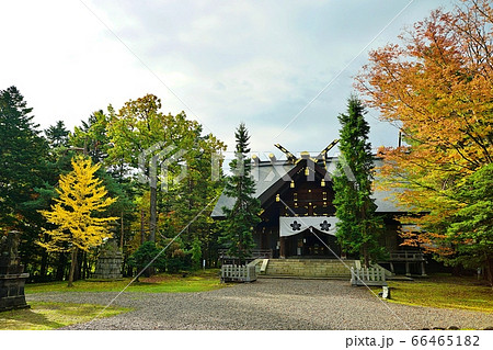 上川神社(北海道旭川市) 上川神社(北海道旭川市) 66465182