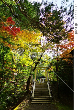 上川神社（北海道旭川市） 66465242