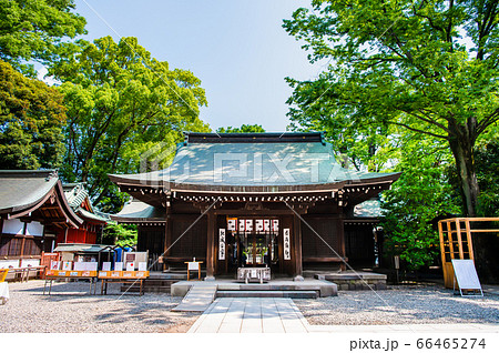 埼玉県川越市 氷川神社 66465274