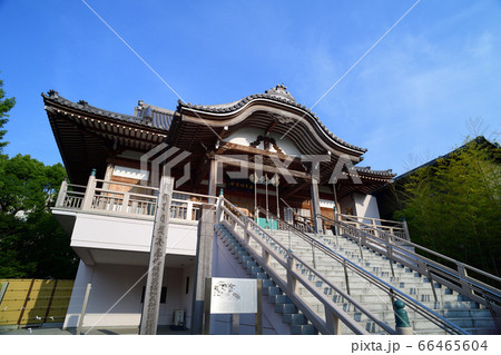 葛飾区 浄光寺 薬師堂(木下川薬師) 葛飾区 浄光寺 薬師堂(木下川薬師) 66465604