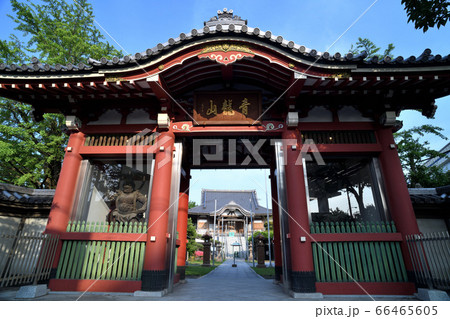 葛飾区 浄光寺 仁王門（木下川薬師） 66465605