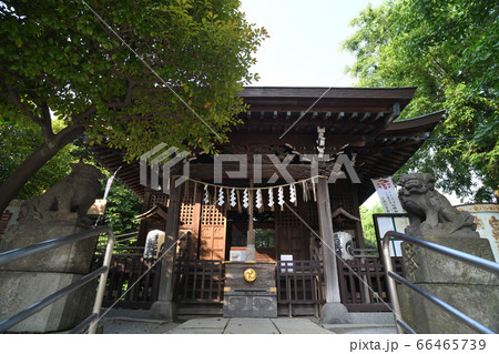 葛飾区 渋江白髭神社 社殿 66465739