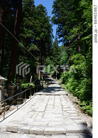 山形　亀岡文殊の参道 66465967