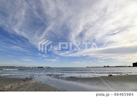 湘南海岸から見る堤防 66465984