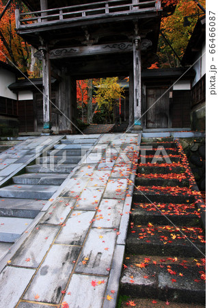 秋の郡上八幡大乗寺 66466087