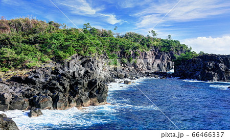 城ヶ崎海岸 いがいが根の写真素材