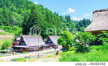 初夏の相倉合掌造り集落 初夏の相倉合掌造り集落 66466598