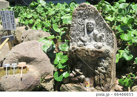 【中国三十三観音霊場】第一番 西大寺にある水かけ誓願不動 岡山県岡山市東区 【中国三十三観音霊場】第一番 西大寺にある水かけ誓願不動 岡山県岡山市東区 66466655