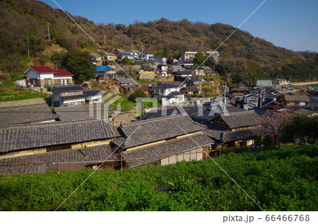 笠岡諸島　六島の集落 66466768