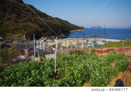 六島　高台からの眺め 66466777