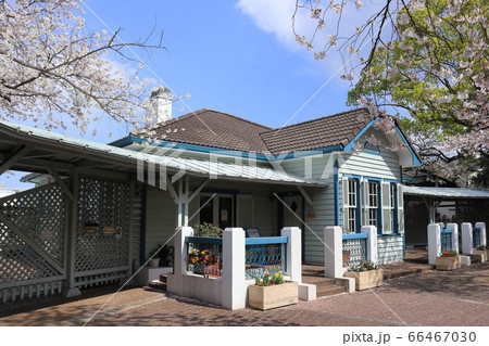 横浜 旧山手68番館と桜 66467030