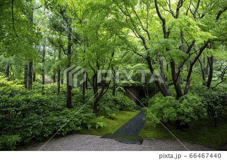 北山山荘 66467440