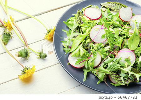 Healthy vegetable salad Healthy vegetable salad 66467733