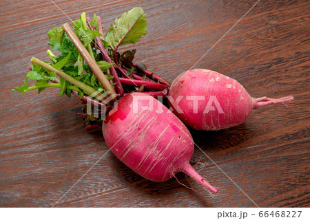 紅くるり大根 紅くるり大根 66468227