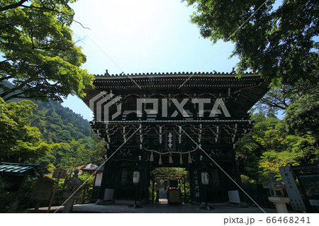 春の善峯寺 66468241