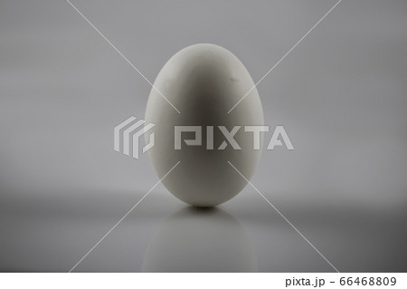 卵 66468809