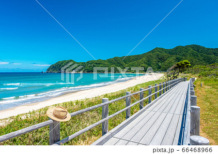 浦富　東浜海岸の初夏 66468966