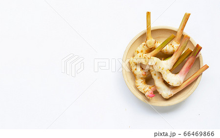 Fresh galangal isolated on white. Fresh galangal isolated on white. 66469866