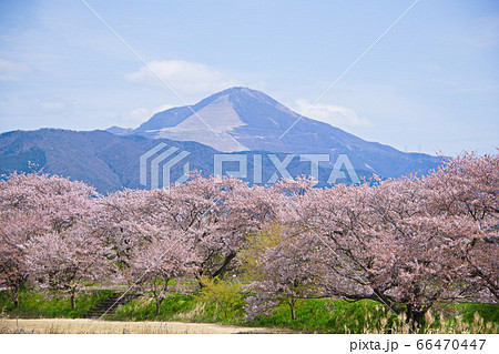 田舎の美しい春景色の写真素材