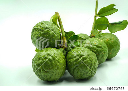 Fresh bergamot fruit with leaf and cut in half of Fresh bergamot fruit with leaf and cut in half of 66470763