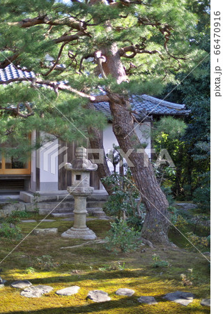 古街ページ 51cbcXlGMJL._UF894,1000_QL80_.jpg