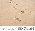 footprint on sandy beach 66471104