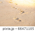 footprint on sandy beach 66471105