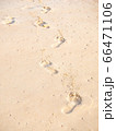 footprint on sandy beach 66471106