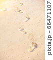footprint on sandy beach 66471107