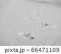 footprint on sandy beach 66471109
