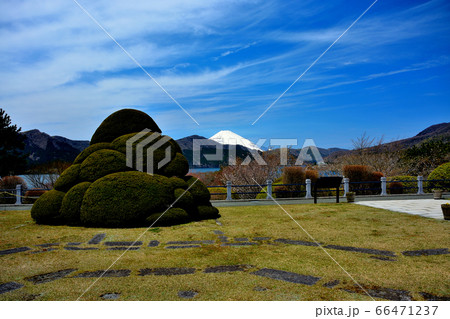 箱根公園（県立恩賜箱根公園）・神奈川・箱根町・箱根離宮の跡地、中央広場から眺める富士山と芦ノ湖（２） 66471237