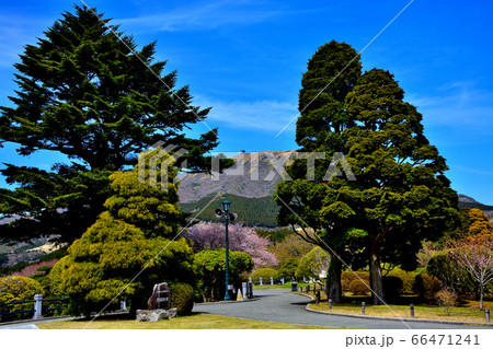 箱根公園(県立恩賜箱根公園)・神奈川・箱根町・中央広場から見渡す駒ヶ岳とロープウェイ山頂駅(1) 箱根公園(県立恩賜箱根公園)・神奈川・箱根町・中央広場から見渡す駒ヶ岳とロープウェイ山頂駅(1) 66471241