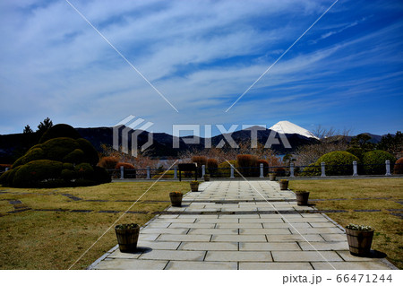箱根公園(県立恩賜箱根公園)・神奈川・箱根町・中央広場・シンメトリーに配置された通路越しの眺め(2) 箱根公園(県立恩賜箱根公園)・神奈川・箱根町・中央広場・シンメトリーに配置された通路越しの眺め(2) 66471244