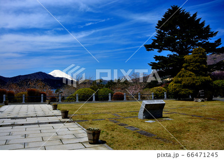 箱根公園(県立恩賜箱根公園)・神奈川・箱根町・中央広場・シンメトリーに配置された通路越しの眺め(3) 箱根公園(県立恩賜箱根公園)・神奈川・箱根町・中央広場・シンメトリーに配置された通路越しの眺め(3) 66471245
