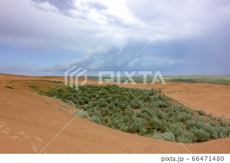 dune in China dune in China 66471480