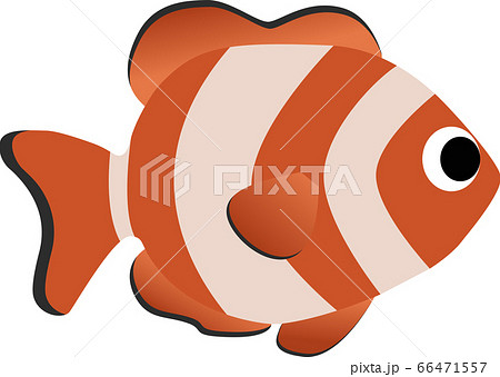 カクレクマノミのイラスト素材