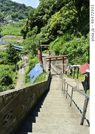 燈籠坂大師堂から参道を見下ろす 燈籠坂大師堂から参道を見下ろす 66472933