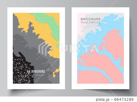 Vector layout of A4 cover mockups design templates for brochure, flyer layout, cover design, book design, brochure cover. Japanese pattern template. Landscape background decoration in Asian style. 66473289