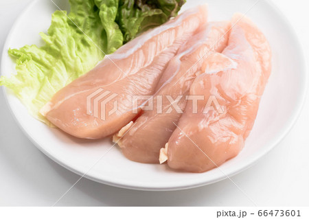 鶏のササミ肉 66473601